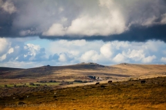 Dartmoor Landscape Photography